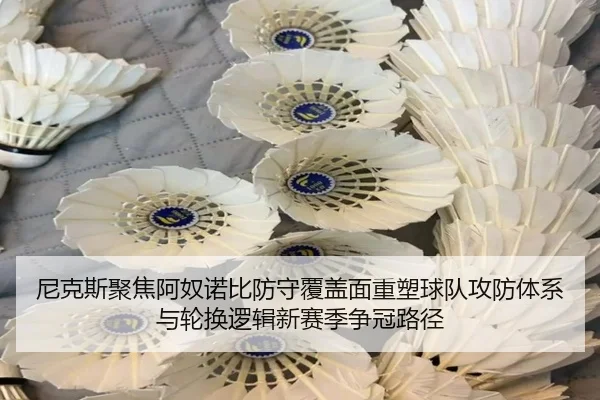 尼克斯聚焦阿奴诺比防守覆盖面重塑球队攻防体系与轮换逻辑新赛季争冠路径